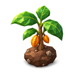 Cacao Seedling