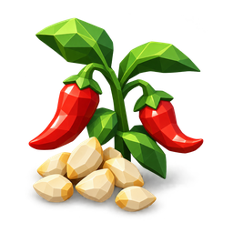 Chili Seeds