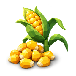Corn Seeds
