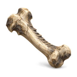 Dragon Bone