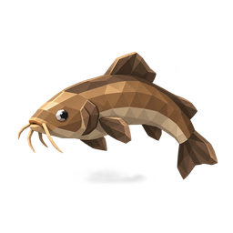 Mud Loach
