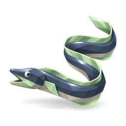 Ribbon Eel
