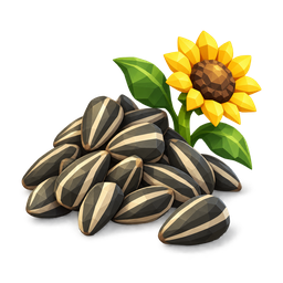 Sunflower Seeds